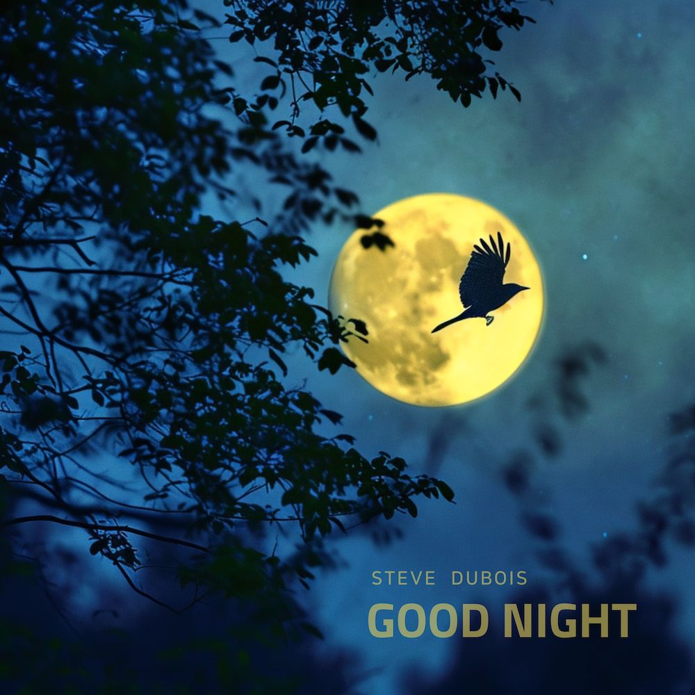Good Night - Steve Dubois