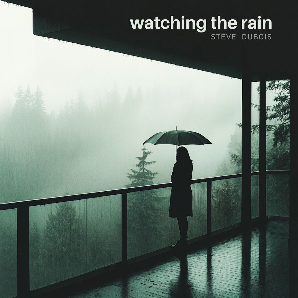 Watching The Rain - Steve Dubois